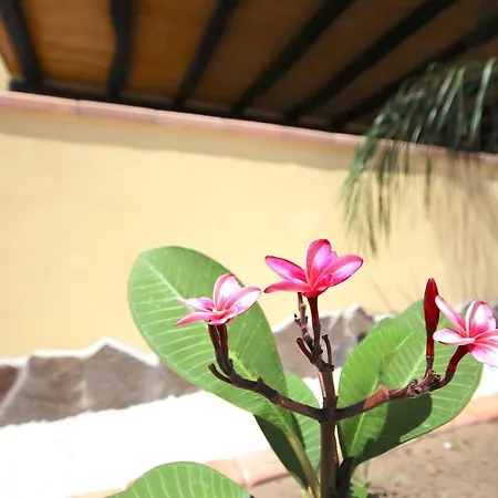 Apartamento Il Melograno